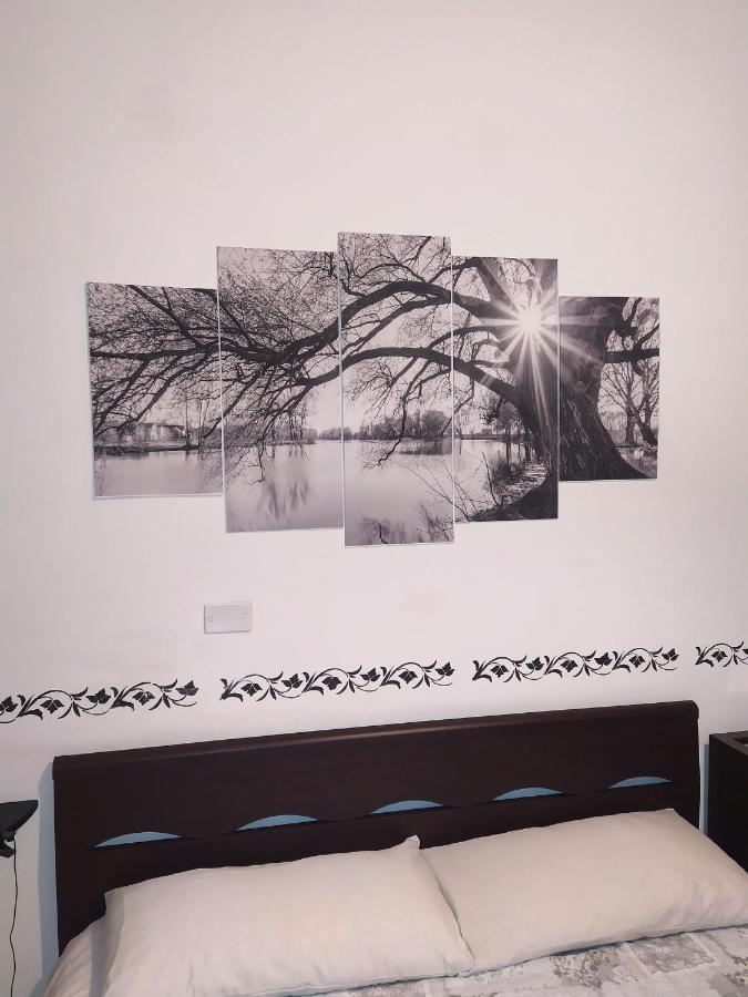 Fercla Appartamento ฟิอาโน โรมาโน ภายนอก รูปภาพ
